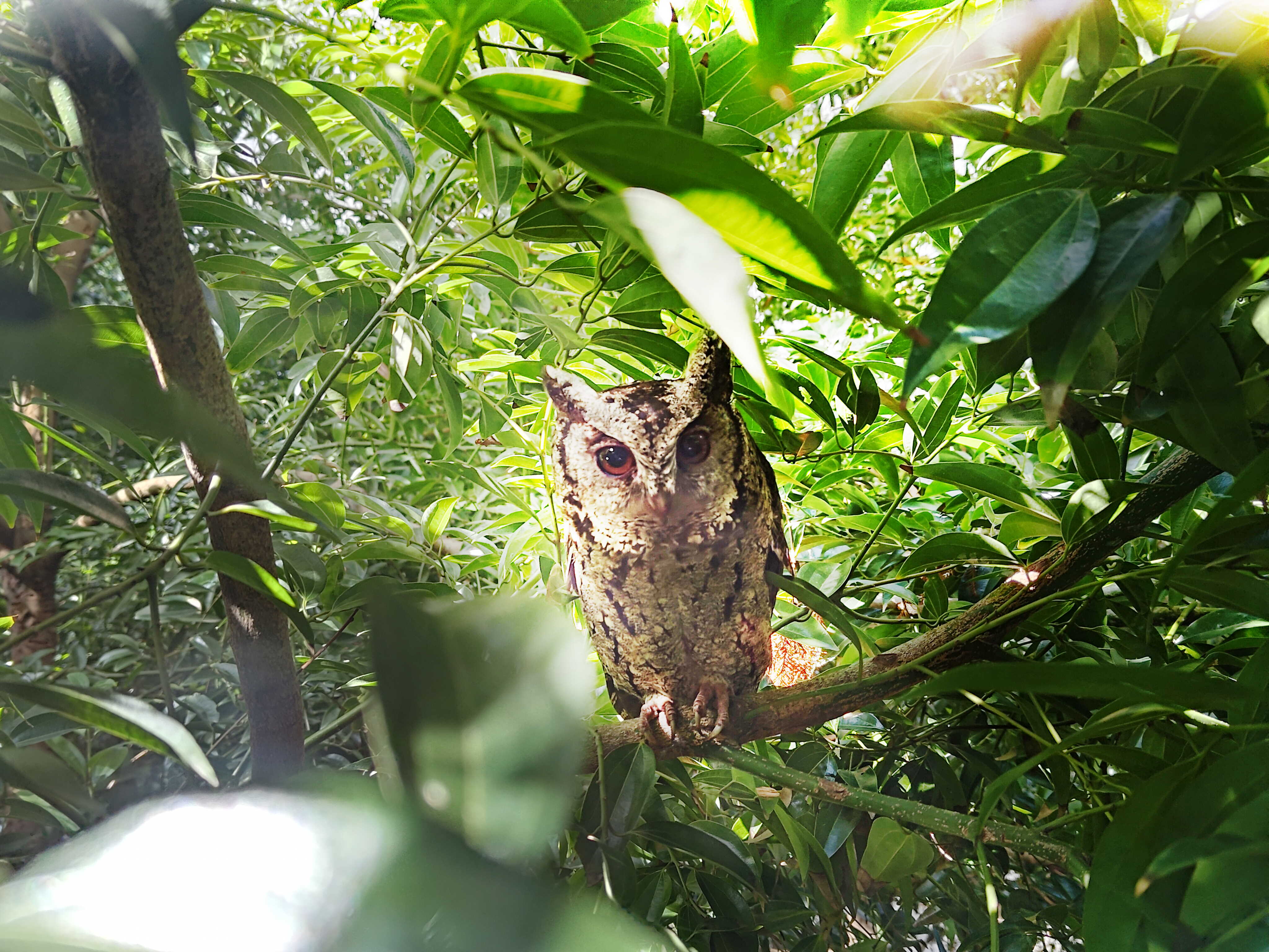 LEYU�پW�����ᳫ����G���16���ԁ���ȫ����S�^ֲ������f�ã���͸��S�^��ľεȻ���֣��q��ɭ�ֹ��S���ɞ��S������ė�Ϣ��