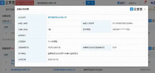 暴風集團深陷債務漩渦 欠稅超千萬，未履行債務逾8億，互聯網服務前景堪憂